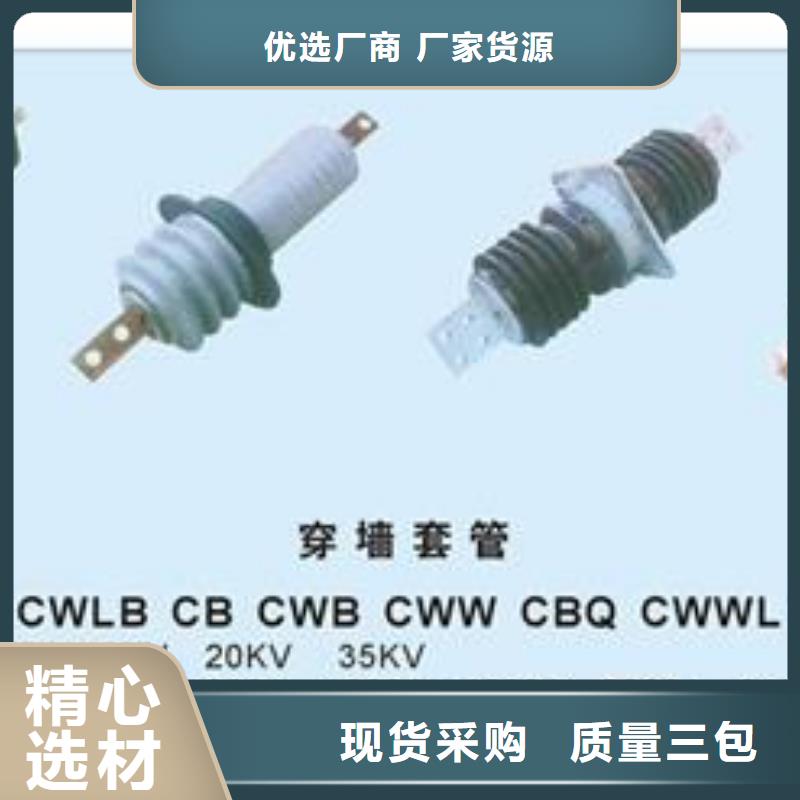 CWLB-35/630A高压陶瓷穿墙套管