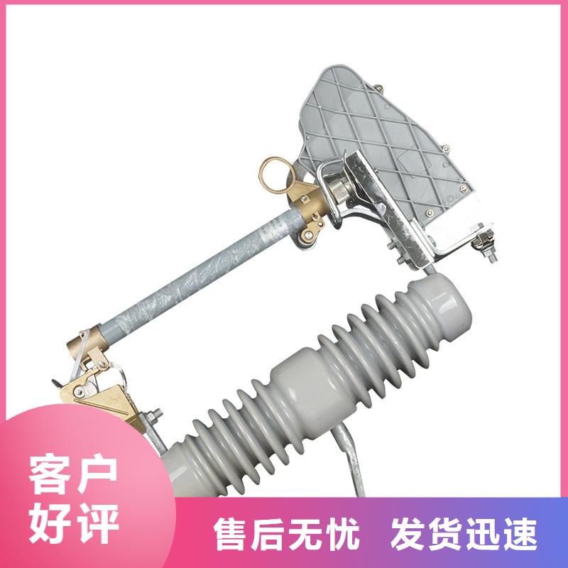 XRNP-24KV/0.2A高压保险管