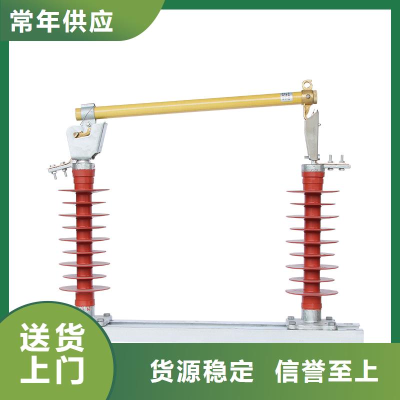 RW10-10/100跌落开关樊高