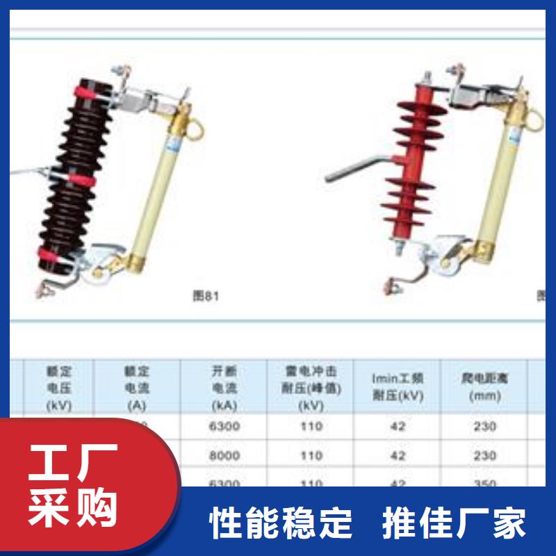 XRNM-10/150A开关柜PT管