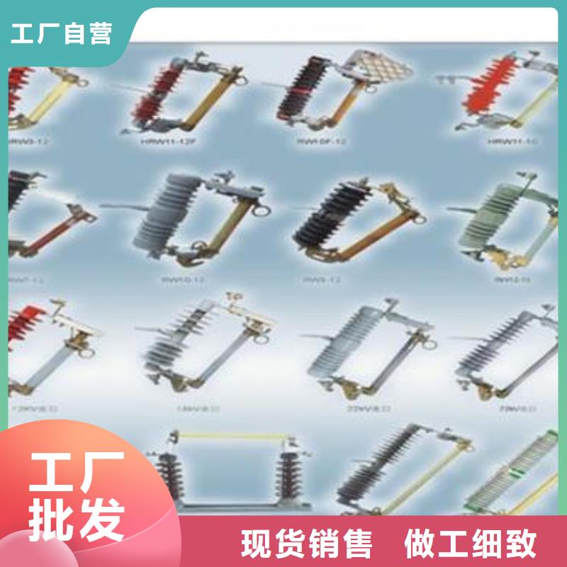 RW10-10/100A户外高压跌落式熔断器