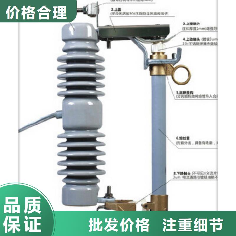 PRW12-24/100A高压跌落保险