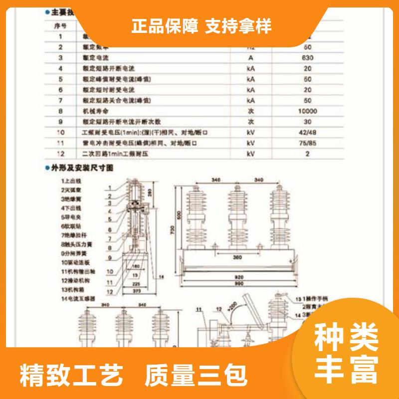 LW3-10G/630-16,六氟化硫断路器