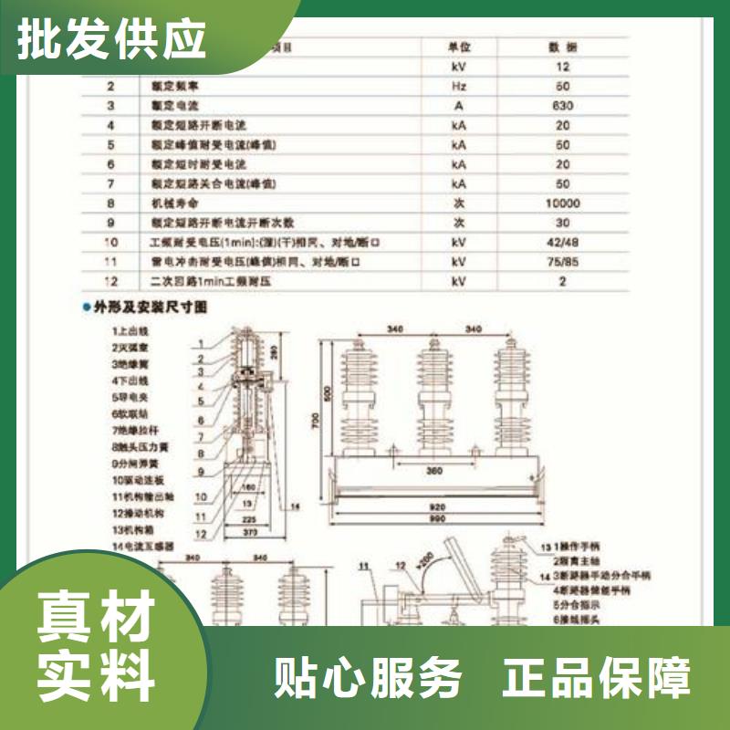 VS1-12/1250-20户内真空断路器手车式