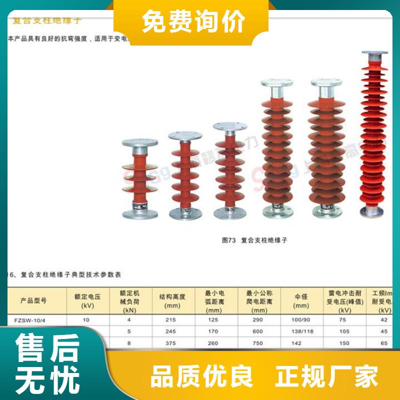 ZSW2-40.5/600陶瓷绝缘子