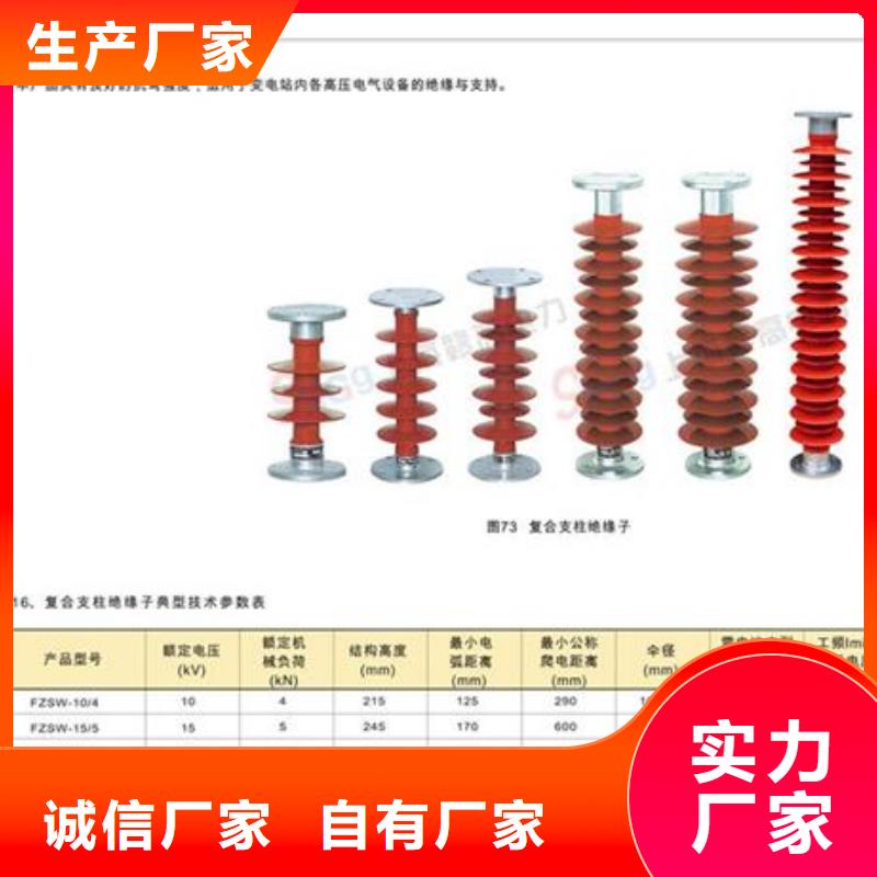 ZA-6Y支柱绝缘子