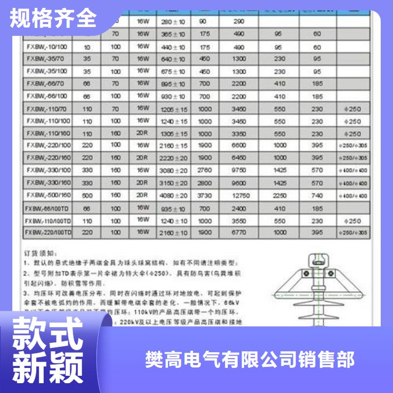 FXBW4-35/100复合绝缘子