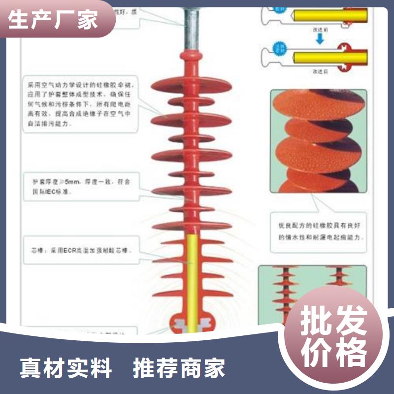 FZSW3-110/10复合高压绝缘子