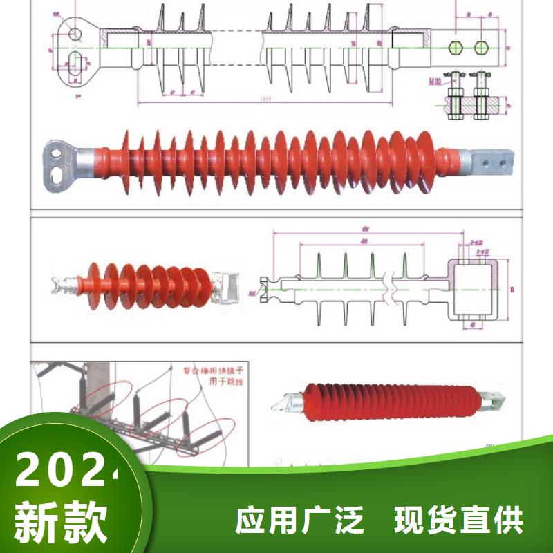 ZJ3-24Q/110*190环氧树脂绝缘子