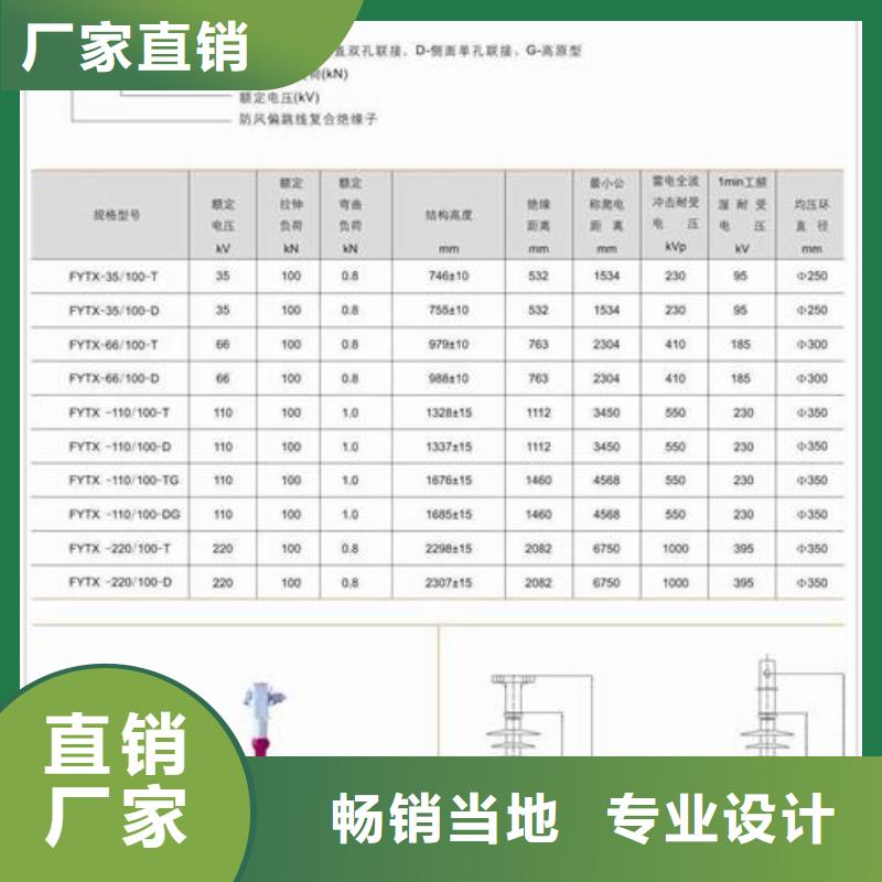 ZJ-10KV/65*140高压绝缘子