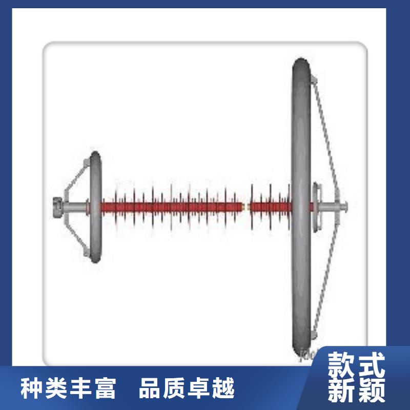 ZSW2-110/10-3绝缘子樊高电气