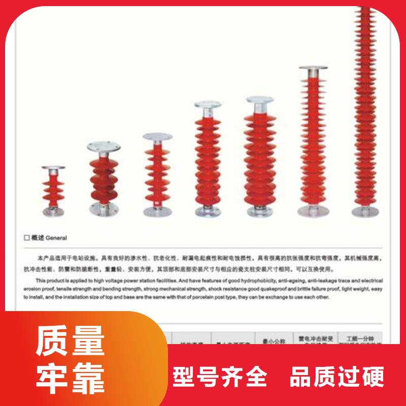 绝缘子-【真空断路器】厂诚信经营