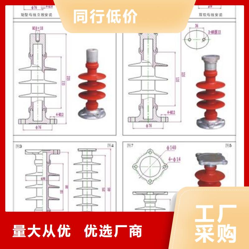 ZS2-20/1000户外高压绝缘子