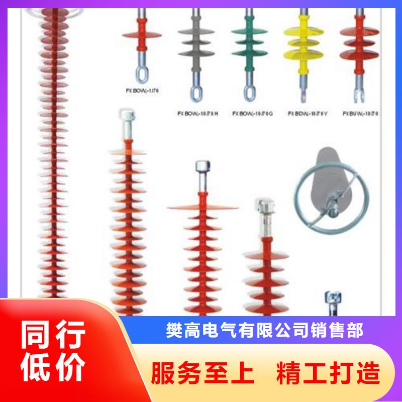 ZN-10KV/65*140环氧树脂绝缘子