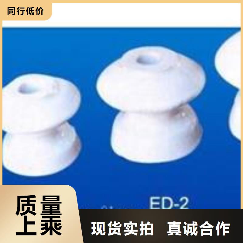 ZSW-110/10高压陶瓷绝缘子