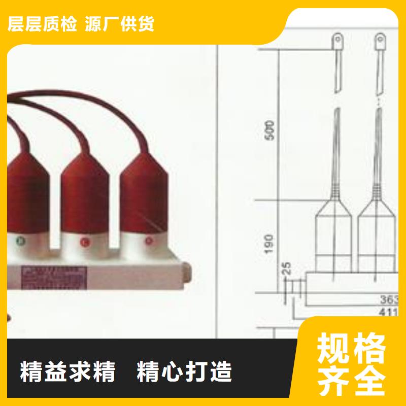 SCGB-A-12.7/85F过电压保护器