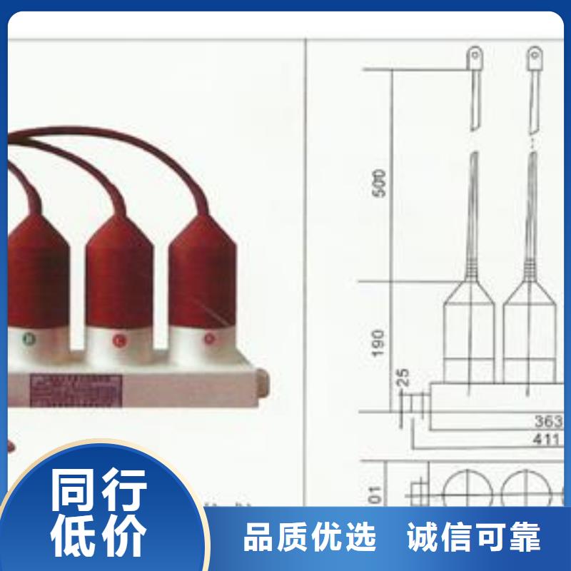 过电压保护器TBP-C-6/131哪里有卖