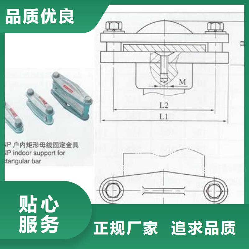 LMY-50*5铜排