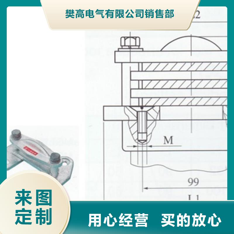 TMY-10*100铜母排