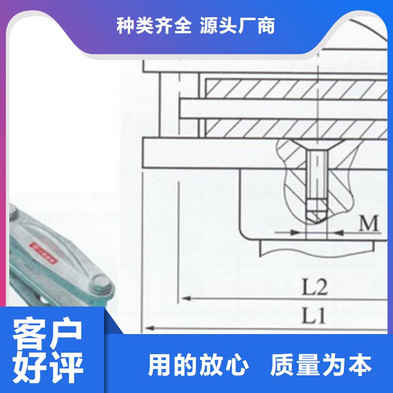 TMY-125*8铜排樊高