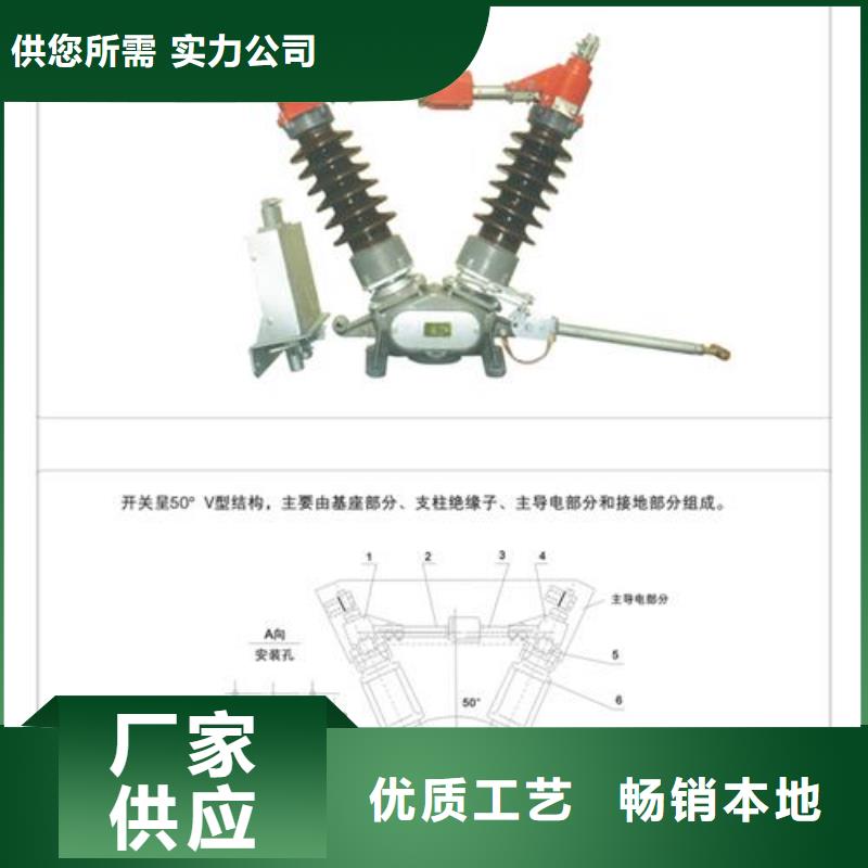 HGW9-10/200A户外高压隔离刀闸