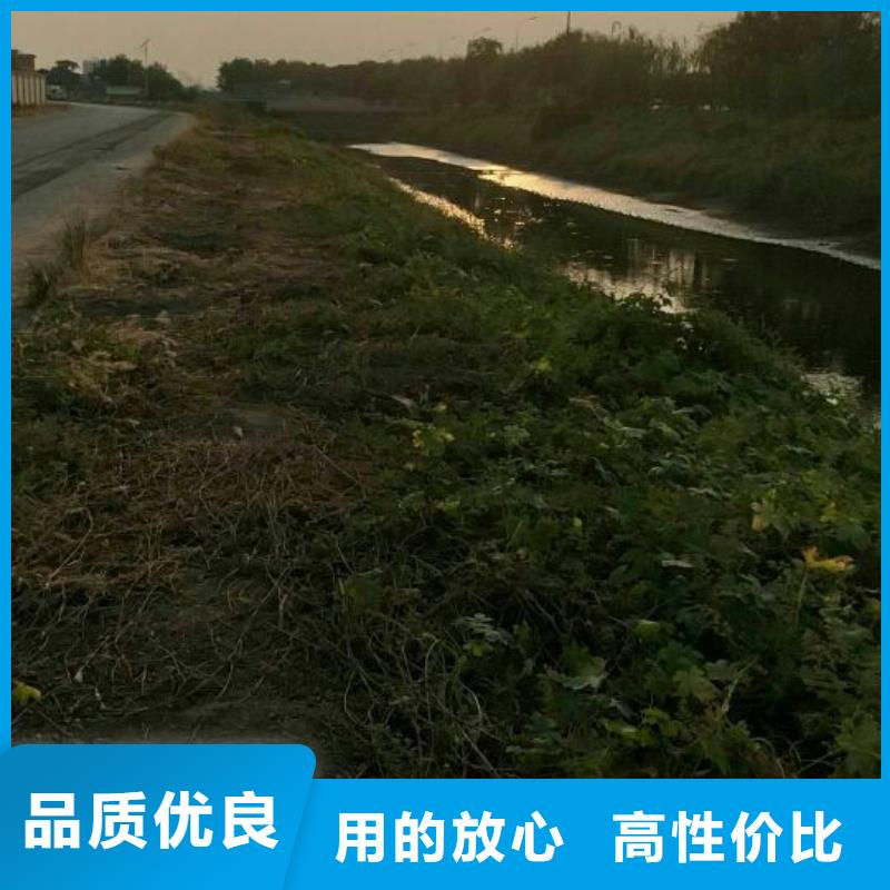 浙江沙漠沙土固化剂战备公路固化土预算