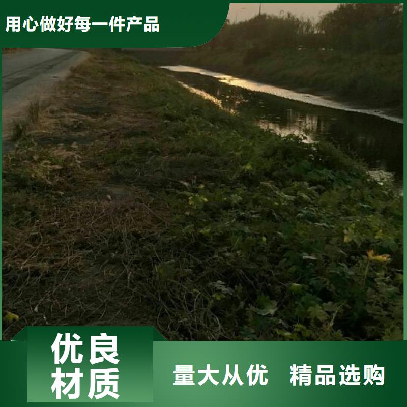 污泥改性固化剂土壤固化土筑路厂家供应