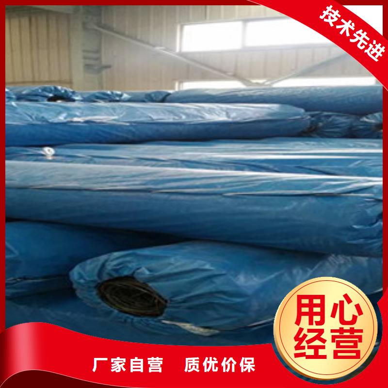 双向塑料格栅玻纤土工格栅厂家规格全
