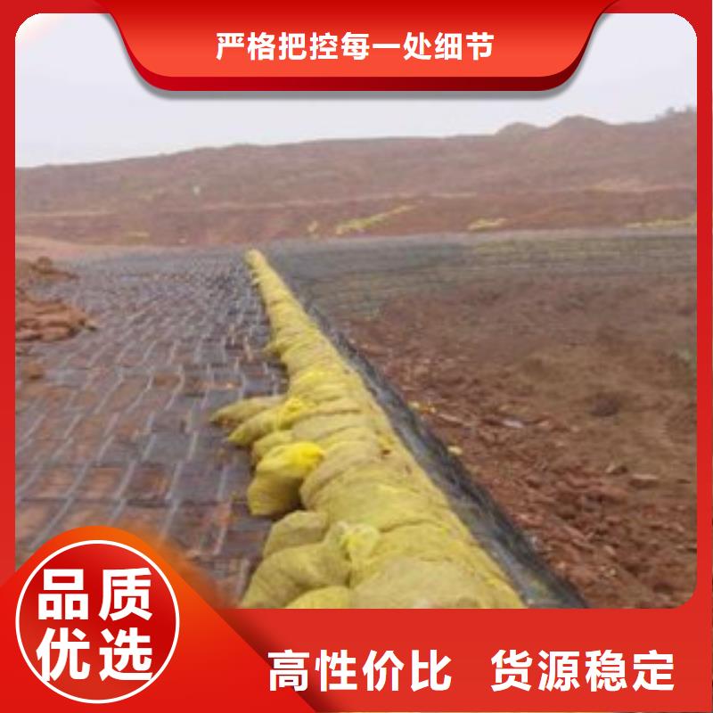 单向塑料格栅塑料土工格栅厂家直销放心