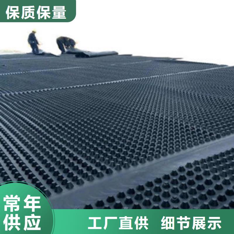 塑料排水板-三维植被网质量无忧