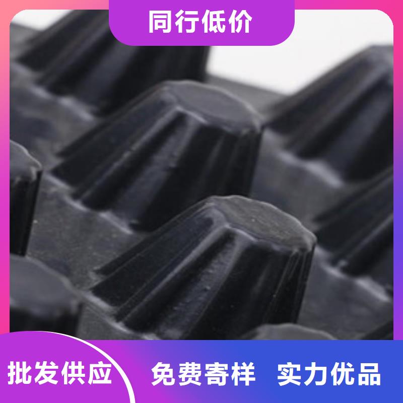 塑料排水板-三维植被网质量无忧