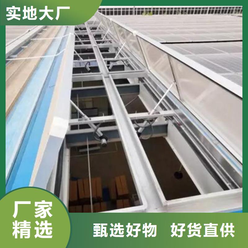 C4避风型电动采光排烟天窗现货销售