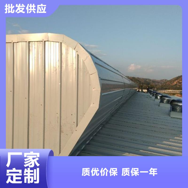 2型通风天窗（启闭式横向天窗）服务周到