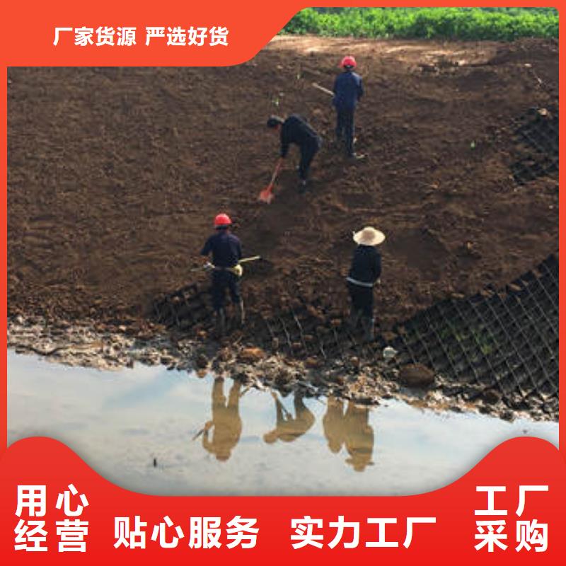 可靠的河道治理蜂巢格室生产厂家