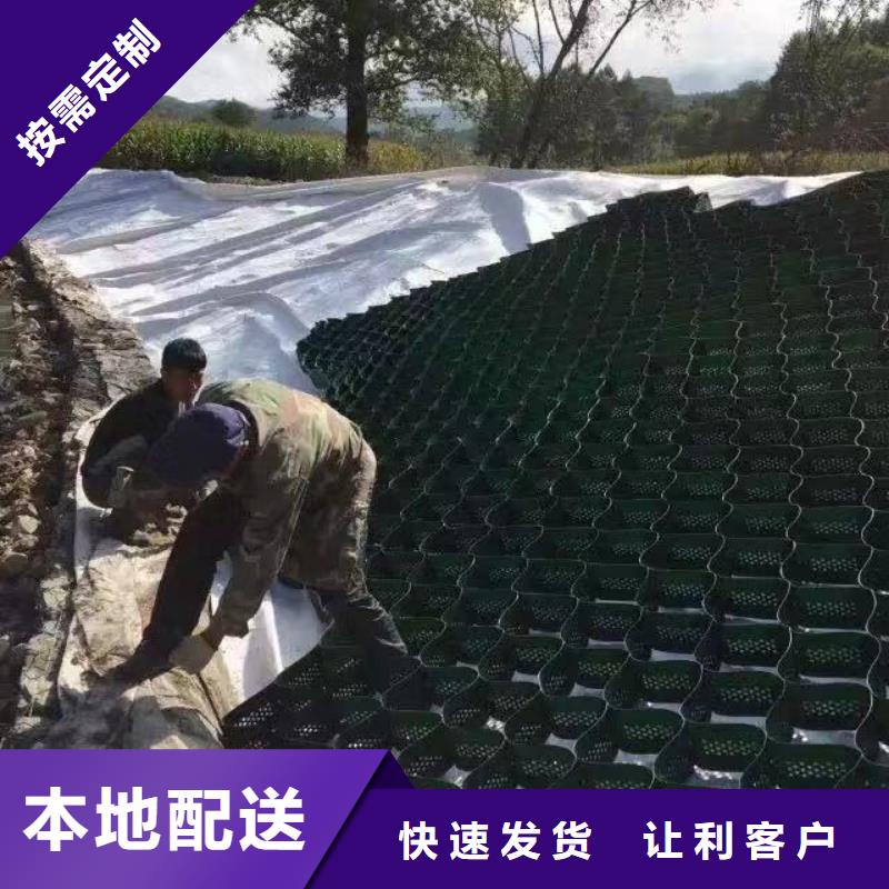 河南土工格室价格哪个好-土工格室价格列表