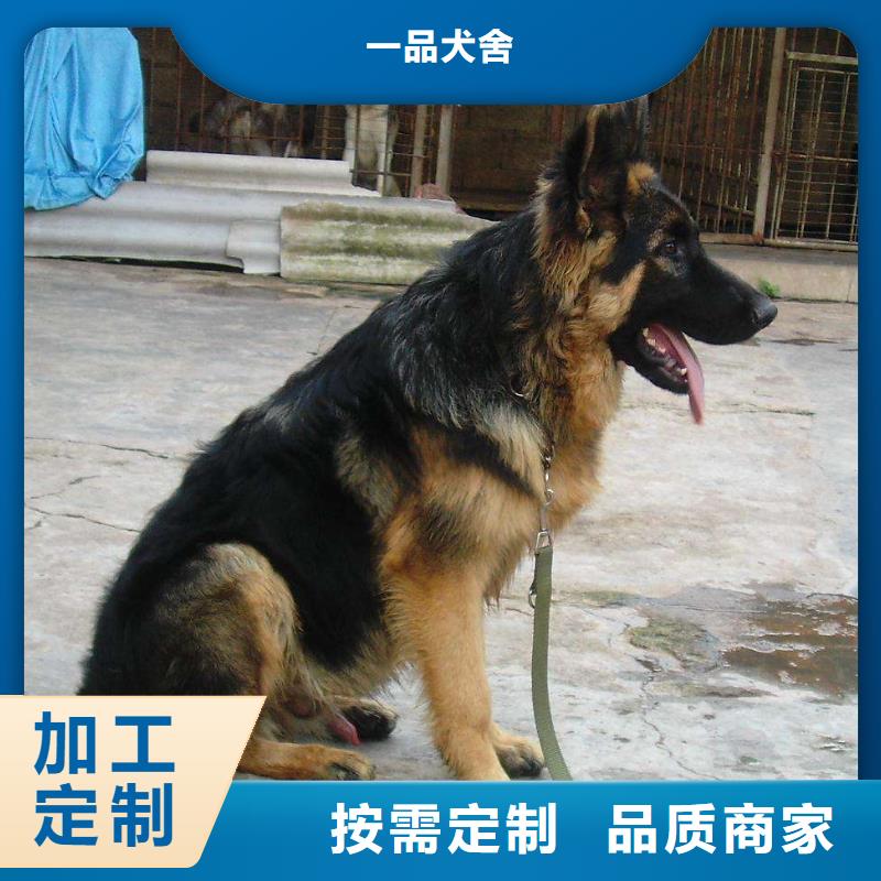 德国牧羊犬杜宾犬保质保量