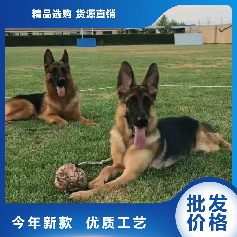 德国牧羊犬罗威纳犬支持定制加工