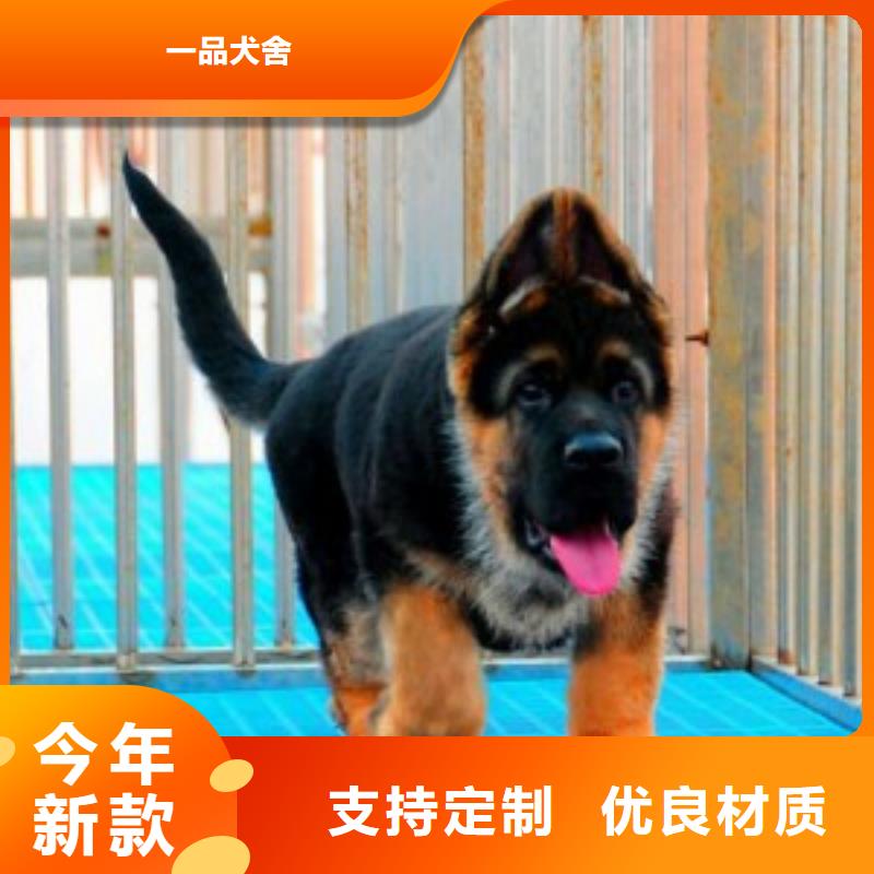 德国牧羊犬【罗威纳犬】多家仓库发货