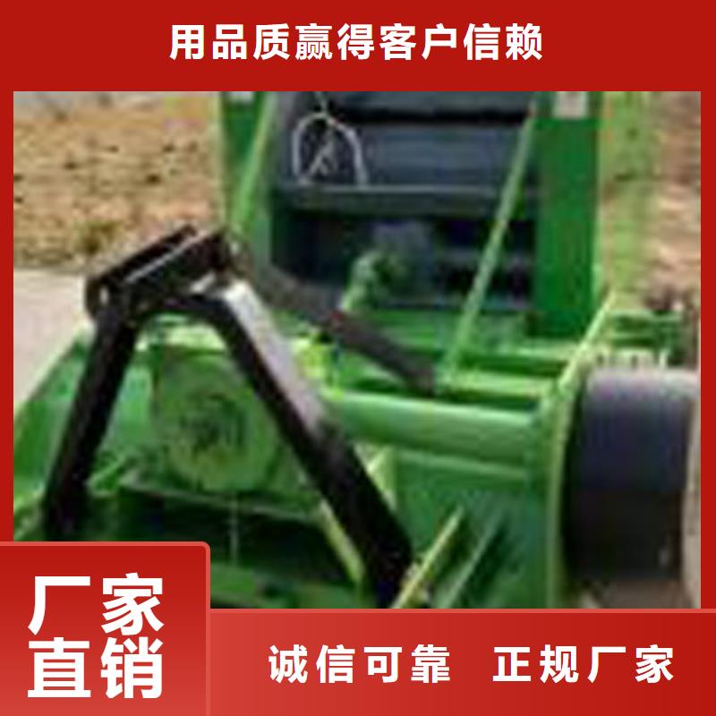 打捆机拉布拉多犬48小时发货
