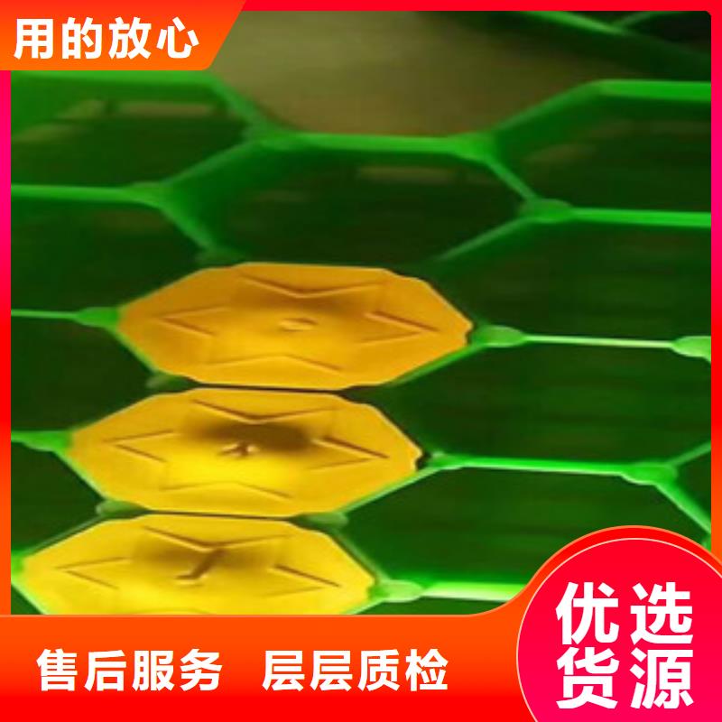 环保植草格,蓄排水板厂家现货交易