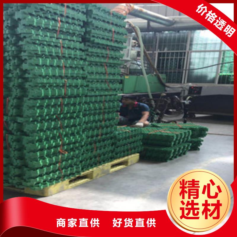 环保植草格-蓄排水板厂家用心制造