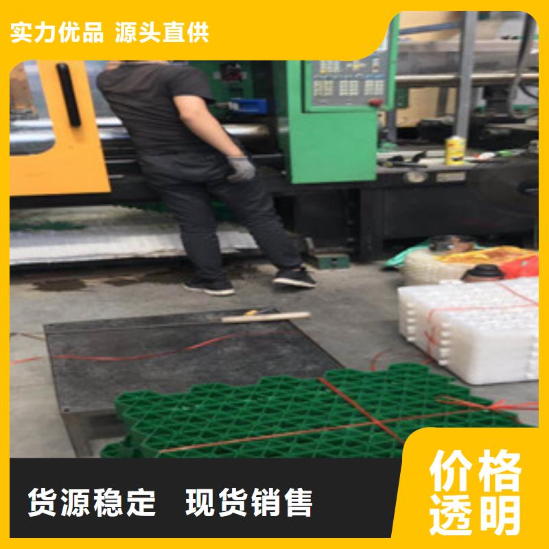 环保植草格-蓄排水板厂家用心制造