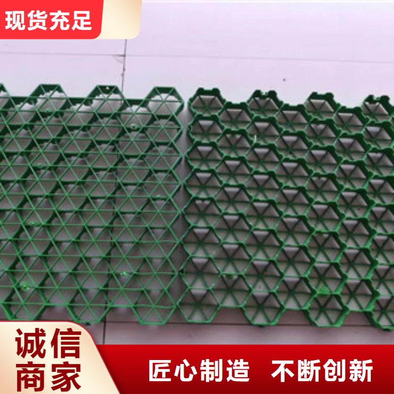 环保植草格-土工膜厂家品质值得信赖