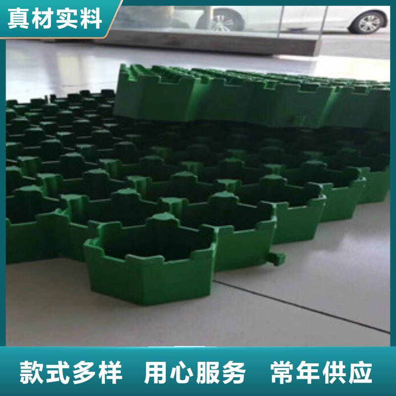 环保植草格-土工膜厂家品质值得信赖
