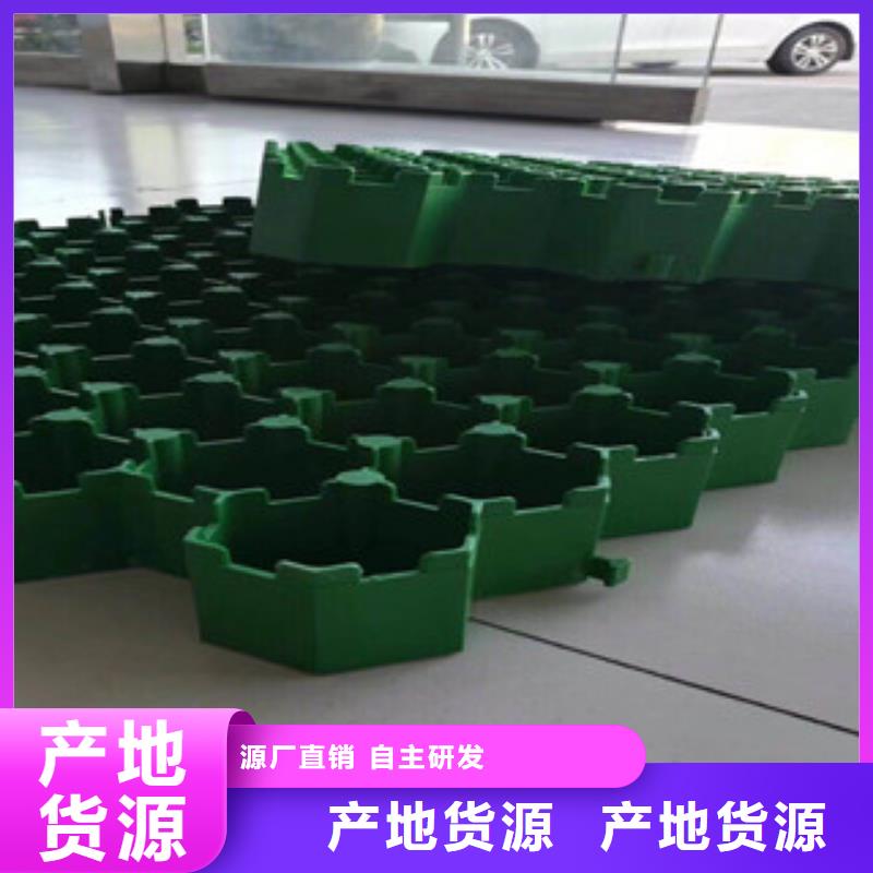 环保植草格排水板厂家直销厂家