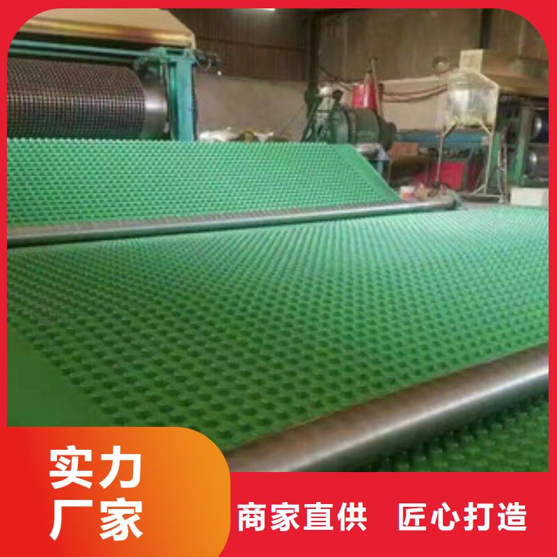 塑料排水板蓄排水板厂家好产品不怕比