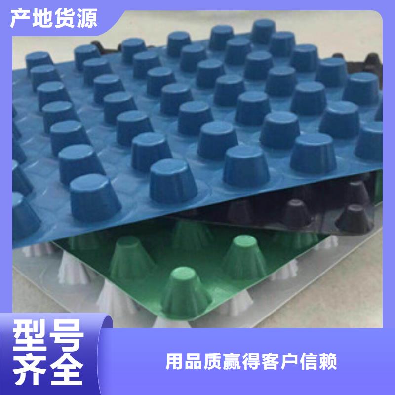 塑料排水板蓄排水板厂家好产品不怕比
