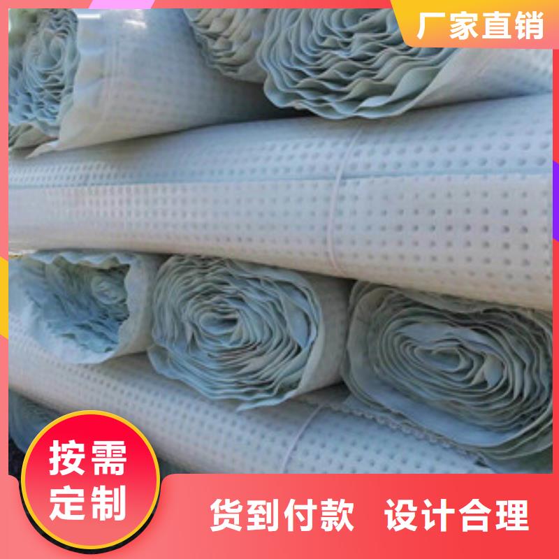 塑料排水板排水板厂家从厂家买售后有保障