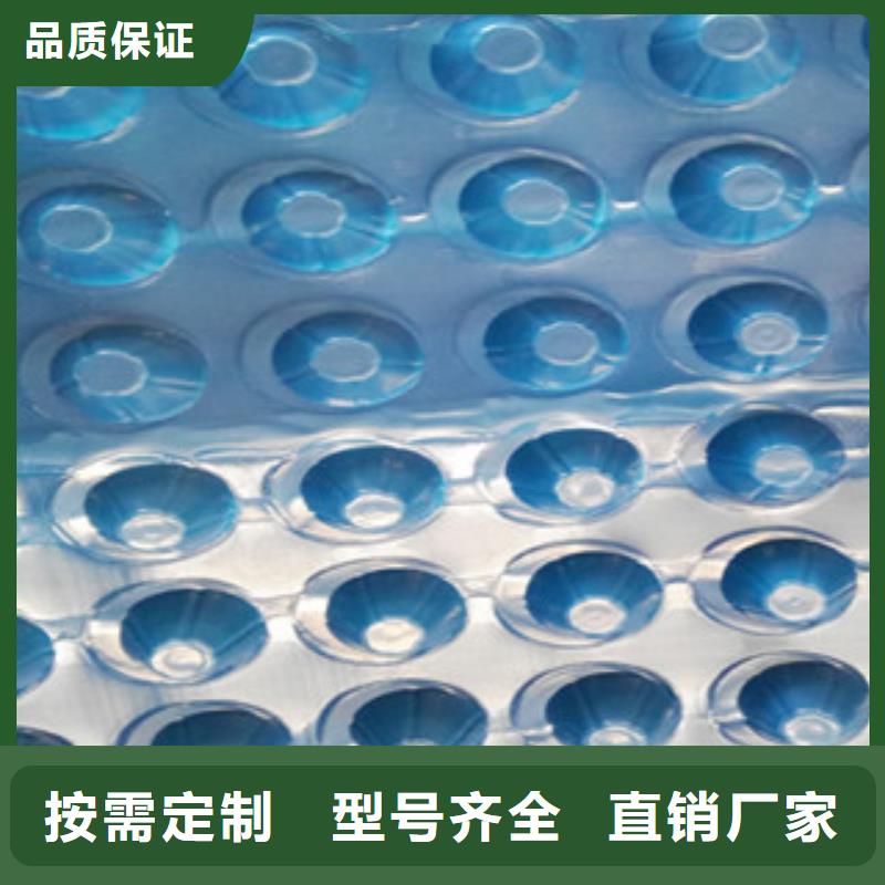 塑料排水板_【生态袋厂家】来图加工定制