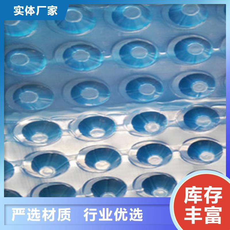 塑料排水板-蓄排水板厂家制造厂家